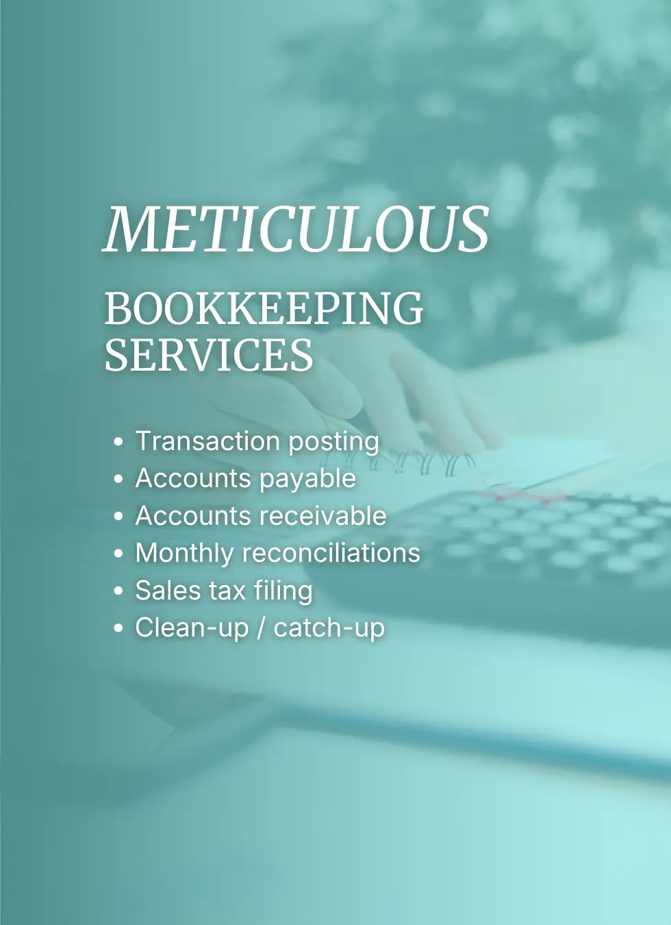 Meticulous bookkeeping services overview graphic
