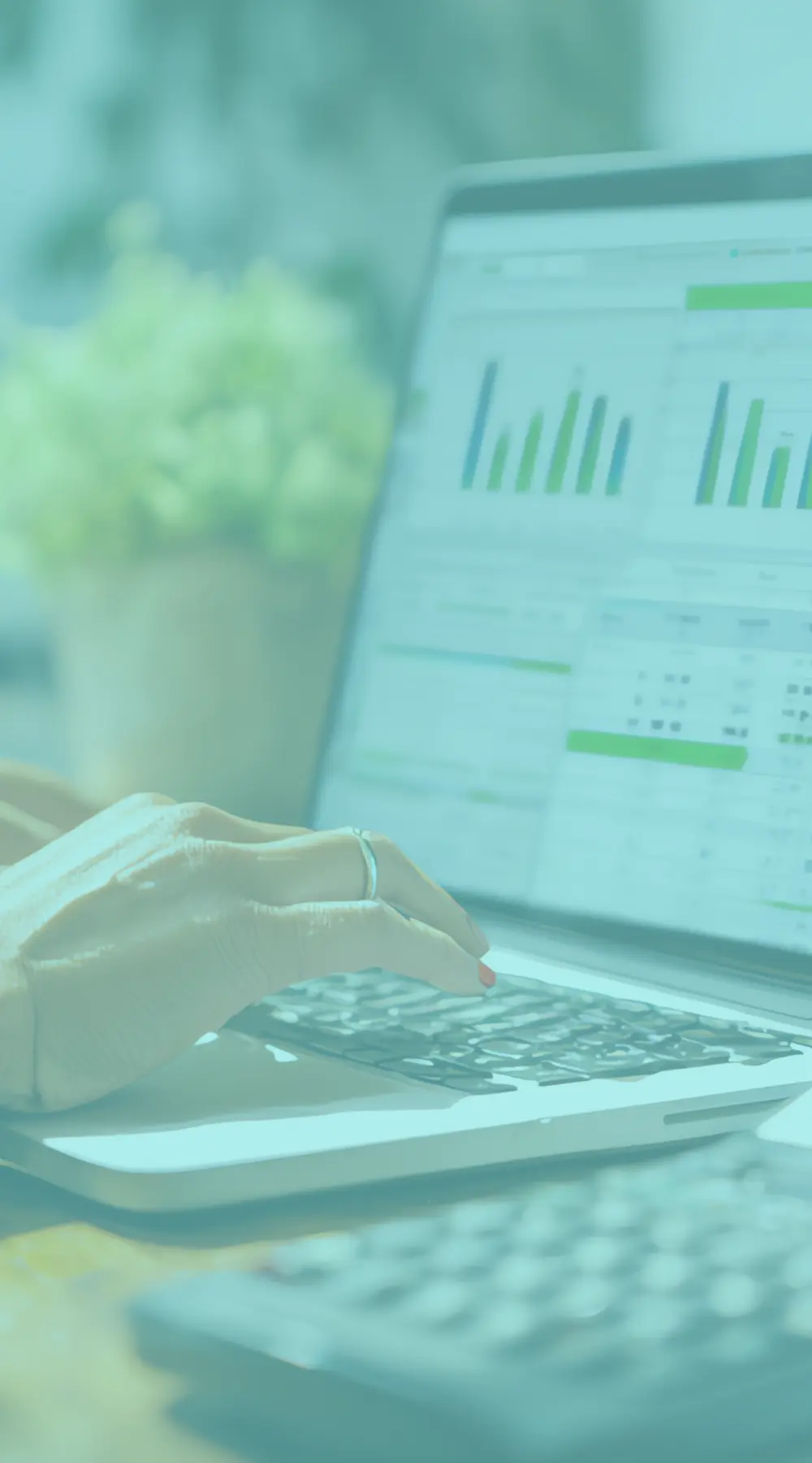 Top 5 things to look for in a bookkeeper reprented by closeup of woman working on accounting software on a computer