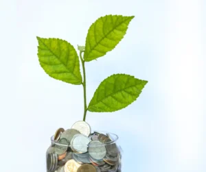 A jar of coins with a plant growing out of it, representing how a Fountain CO bookkeeper can save you money