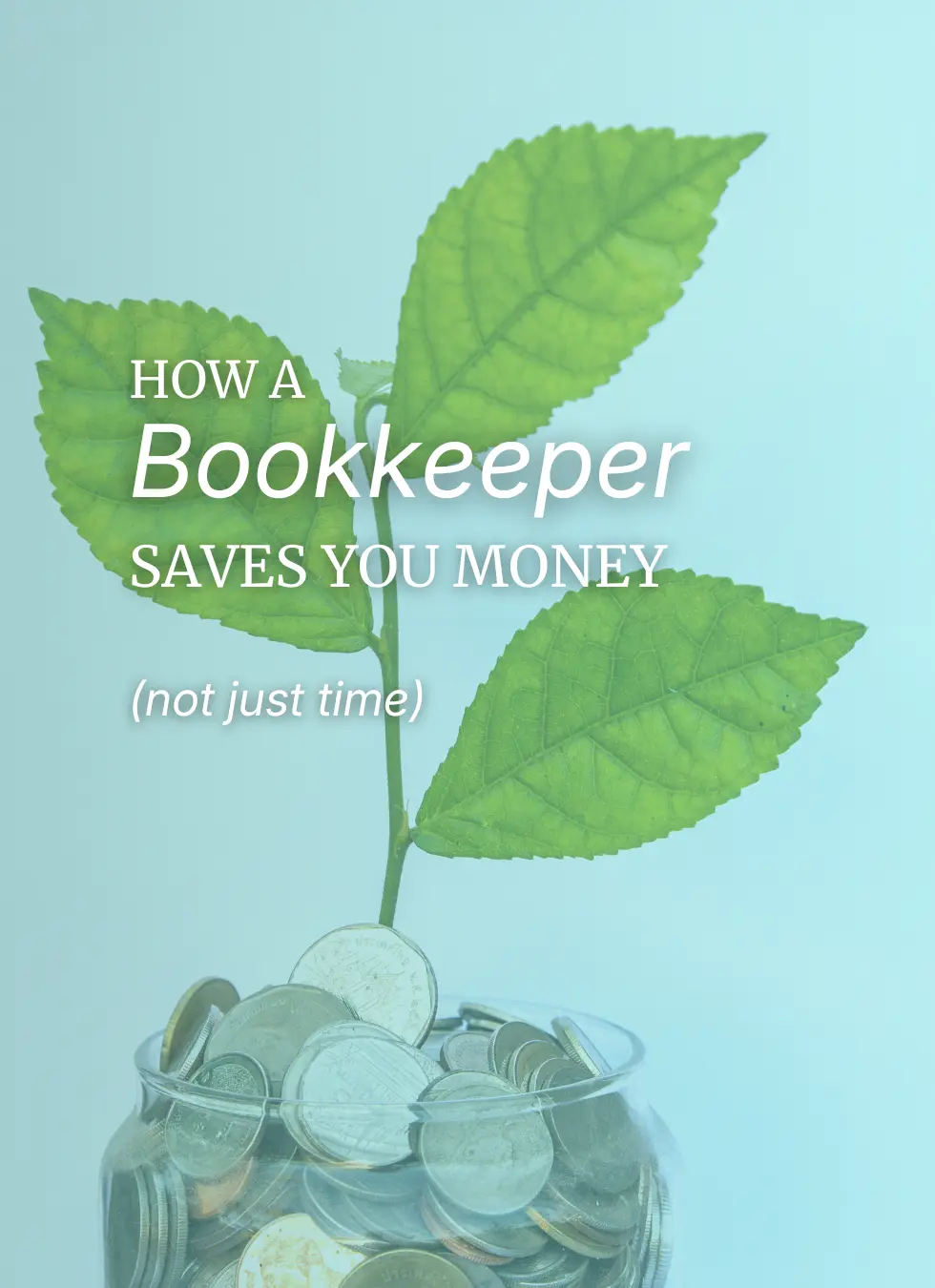 Graphic about how a Fountain CO bookkeeper helps you save money with a jar of coins and a plant growing out of it